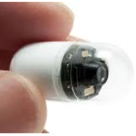 Small Bowel Video Capsule Endoscopy (VCE)